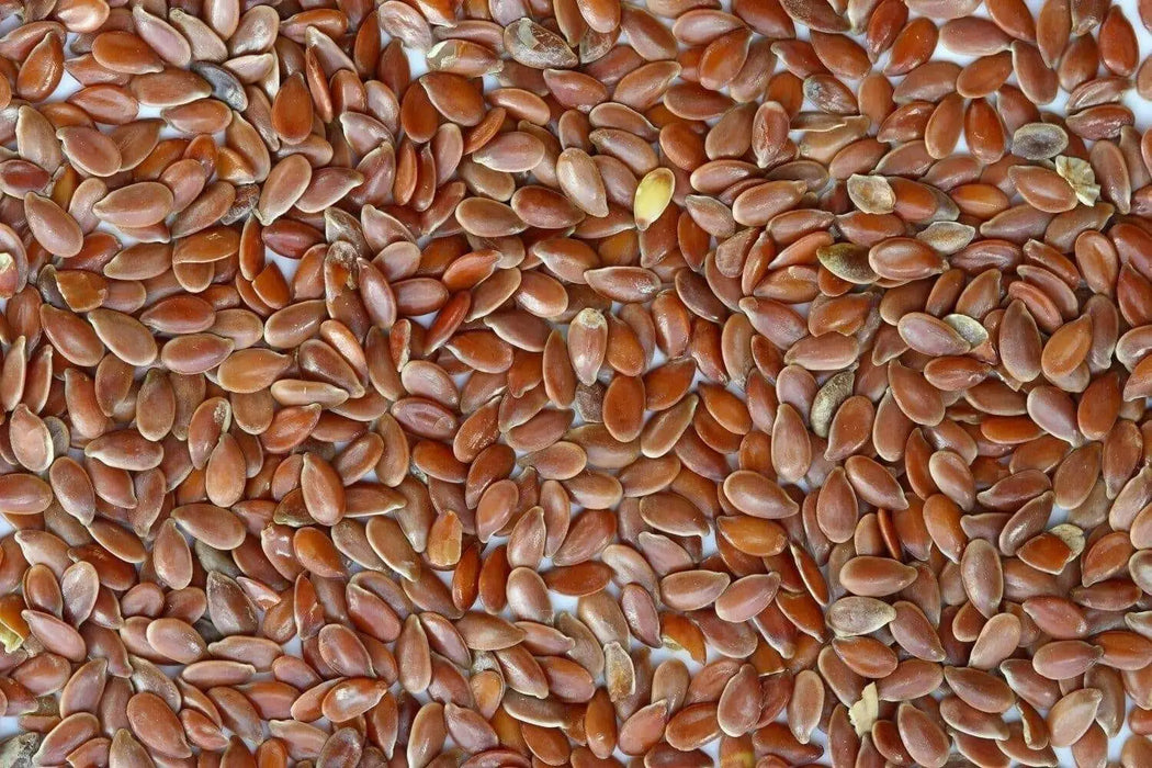 FLAX Herb  Seeds,ANNUAL FLOWERS, JAMAICAN LINSEED - Caribbean garden seed