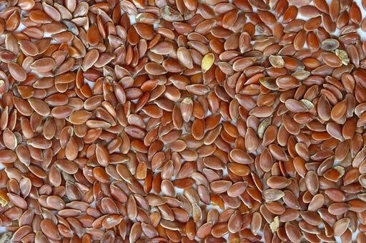 FLAX Herb  Seeds,ANNUAL FLOWERS, JAMAICAN LINSEED - Caribbean garden seed