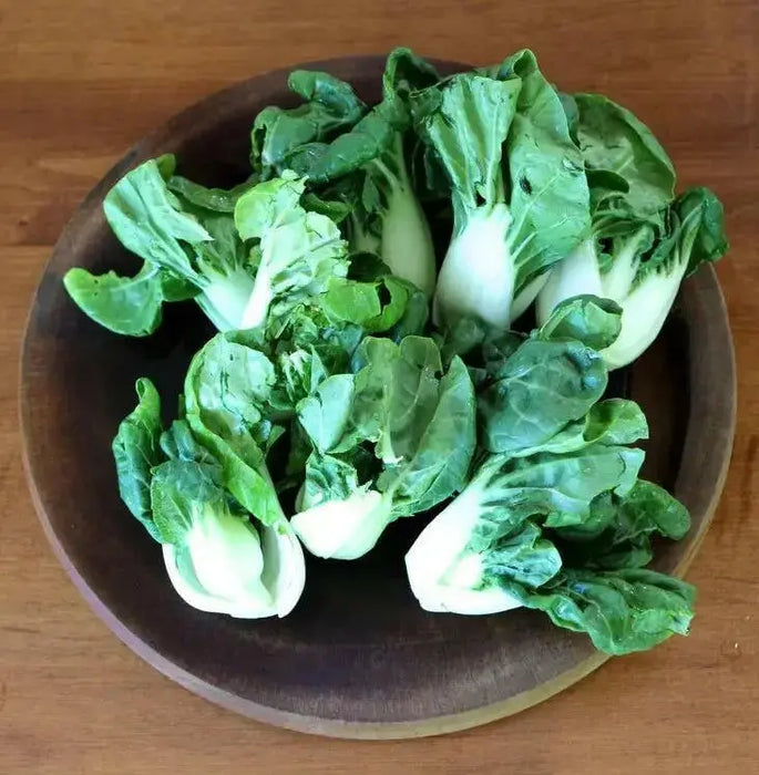 EXTRA DWARF Pak Choi  Seeds ,white cabbage, ASIAN VEGETABLE - Caribbean garden seed