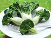 EXTRA DWARF Pak Choi  Seeds ,white cabbage, ASIAN VEGETABLE - Caribbean garden seed