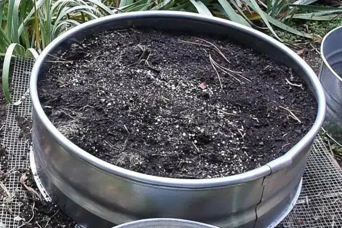 FLOWERS & BULBS  FOOD-3-5-3 Natural & Organic Fertilizer - Caribbean garden seed