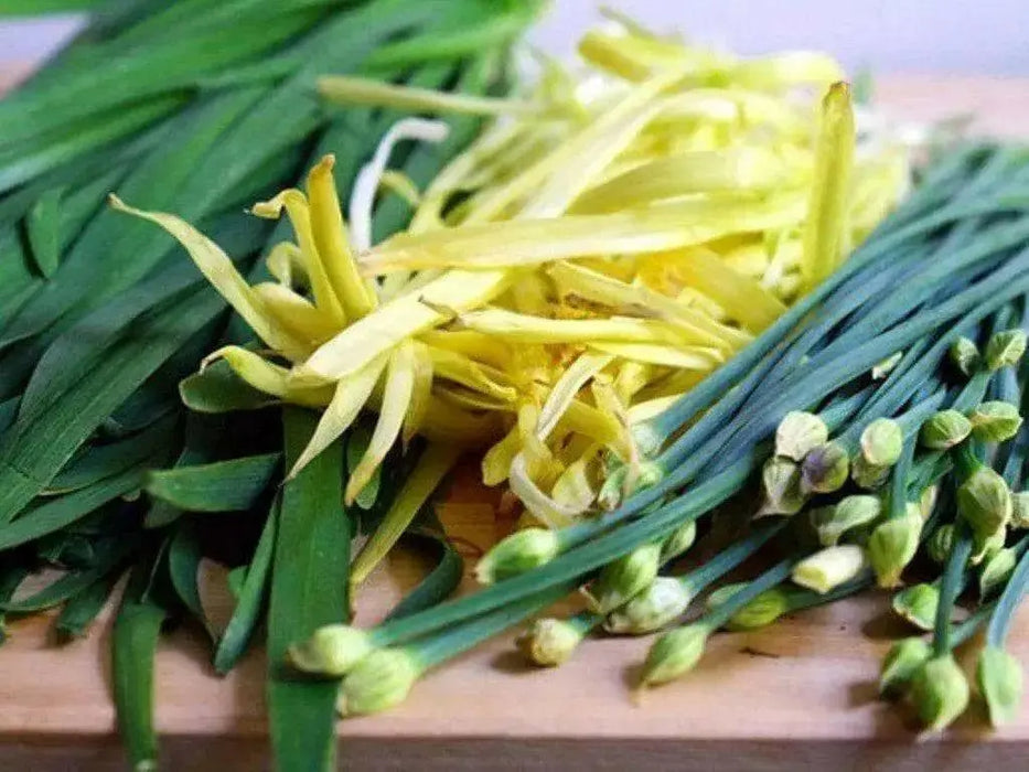 Flowering Chinese Leek, chive seed - Perennial Asian Vegetable - Caribbean garden seed