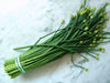 Flowering Chinese Leek, chive seed - Perennial Asian Vegetable - Caribbean garden seed