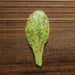 Freckles Romaine lettuce SEEDS - Vegetable Seeds - Caribbean garden seed