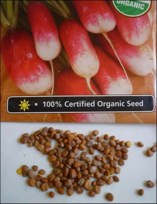 French Breakfast Radish Seeds - HEIRLOOM Vegetable - Caribbean garden seed