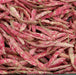 French Horticulture'bean ,Vegetable Seeds ! - Caribbean garden seed