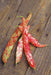 French Horticulture'bean ,Vegetable Seeds ! - Caribbean garden seed