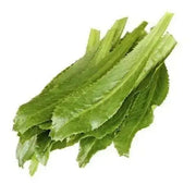 Fresh Culantro Leaves  “shado beni” ( bundle) CARIBBEAN PRODUCT, ship year round - Caribbean garden seed