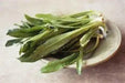 Fresh Culantro Leaves  “shado beni” ( bundle) CARIBBEAN PRODUCT, ship year round - Caribbean garden seed