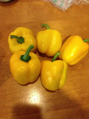 FRESH BELL PEPPER (FRESH PRODUCE) ORGANIC VEGETABLE - Caribbean garden seed