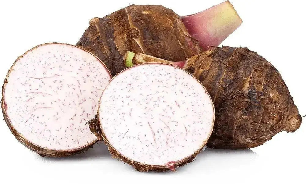 FRESH DASHEEN ROOT,EDDOS,  COCO,TARO , poi, CARIBBEAN PRODUCT - Caribbean garden seed