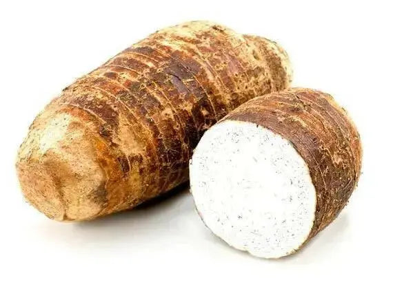 FRESH DASHEEN ROOT,EDDOS,  COCO,TARO , poi, CARIBBEAN PRODUCT - Caribbean garden seed