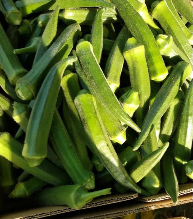FRESH Indian OKRA ,Bhindi ,ASIAN Lady Fingers. - Caribbean garden seed