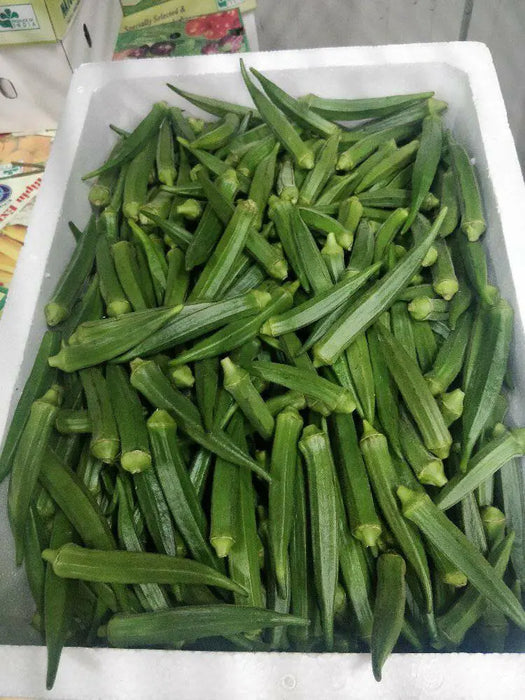 FRESH Indian OKRA ,Bhindi ,ASIAN Lady Fingers. - Caribbean garden seed