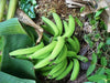 FRESH Green Plantain, READY TO EAT,FRESH produce - Caribbean garden seed