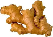 FRESH JAMAICAN GINGER ROOTS - Caribbeangardenseed