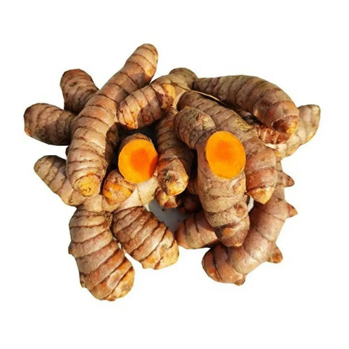 FRESH ORGANIC TURMERIC ROOT, MUST HAVE FOR CURRIES - Caribbean garden seed