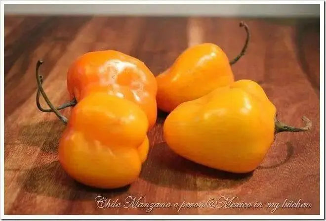 Fresh Pods, Manzano Peppers, APPLE CHILI, SPICY, CARIBBEAN PRODUCT - Caribbean garden seed