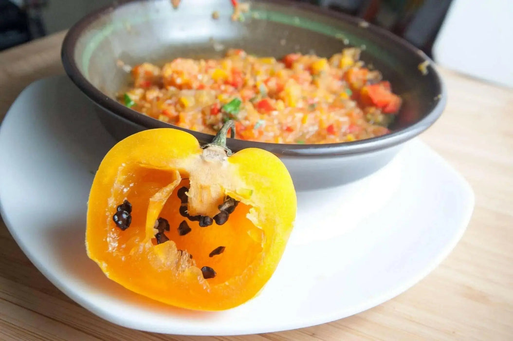 Fresh Pods, Manzano Peppers, APPLE CHILI, SPICY, CARIBBEAN PRODUCT - Caribbean garden seed