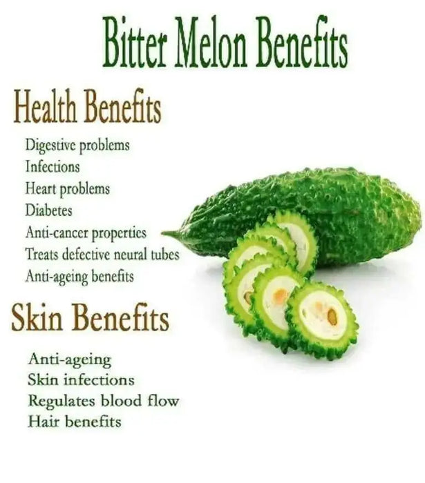 Futo Spindle" a.K.a bitter melon, karalla, and balsam pear. Asian vegetable - Caribbean garden seed