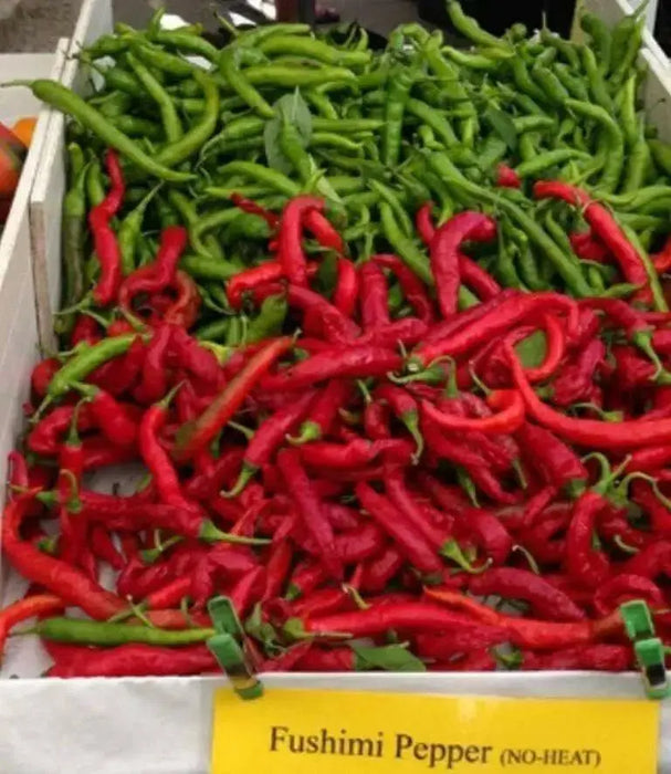 FUSHIMI Japanese Sweet PEPPER Seeds (Capsicum annuum,) Asian Vegetable - Caribbean garden seed
