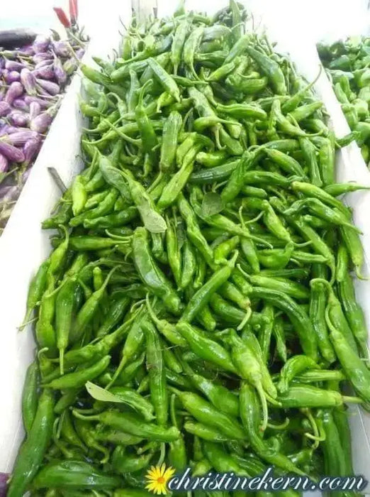 FUSHIMI Japanese Sweet PEPPER Seeds (Capsicum annuum,) Asian Vegetable - Caribbean garden seed