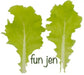 Fun Jen"  frilly leaf pak choi or "Bok Choy" Chinese Cabbage ! Asian Vegetables - Caribbean garden seed