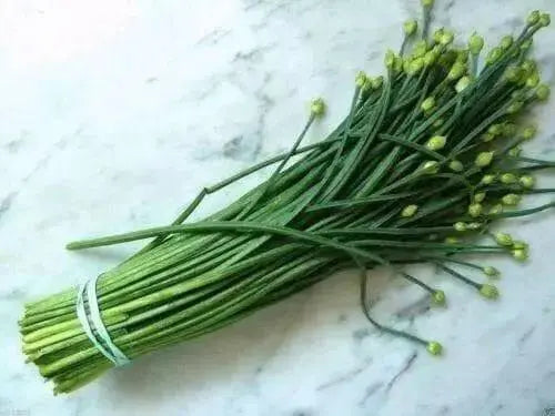 Garlic Chives Seeds ,Edible Flower, Fragrance, PERENNIAL Herb - Caribbean garden seed