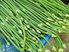 Garlic Chives Seeds ,Edible Flower, Fragrance, PERENNIAL Herb - Caribbean garden seed