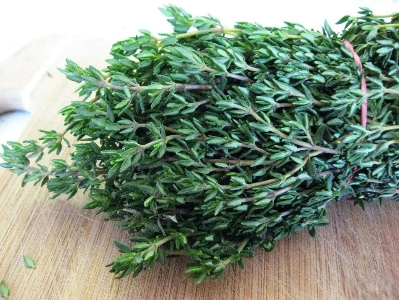 Garden Thyme or English Thyme.Herb Seeds - (Thymus Vulgaris) very hardy perennial, - Caribbean garden seed