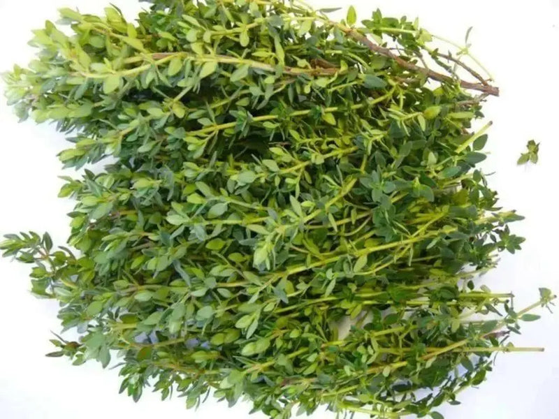 Garden Thyme or English Thyme.Herb Seeds - (Thymus Vulgaris) very hardy perennial, - Caribbean garden seed