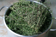 Garden Thyme or English Thyme.Herb Seeds - (Thymus Vulgaris) very hardy perennial, - Caribbean garden seed