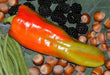 Giant Aconcagua Pepper Seeds-  Capsicum annuum-Sweet Pepper - Caribbean garden seed
