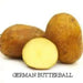 German Butterball Netted, golden yellow skin and yellow flesh. - Caribbean garden seed