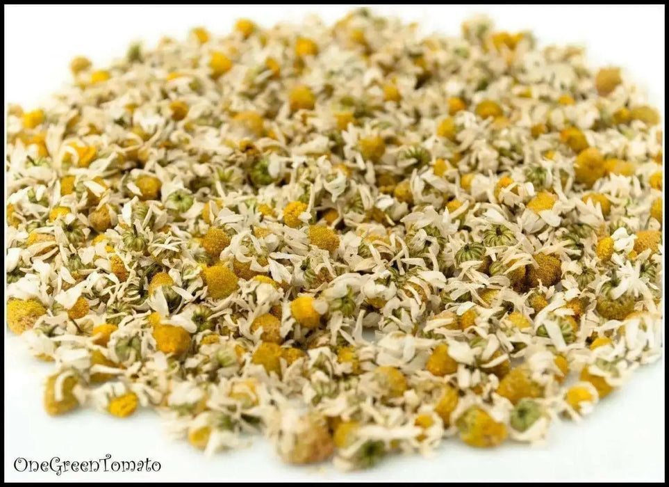 German Chamomile Herb Seeds - Caribbean garden seed