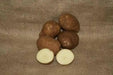 Gold Rush Potato Seed, ANNUAL VEGETABLE - Caribbean garden seed