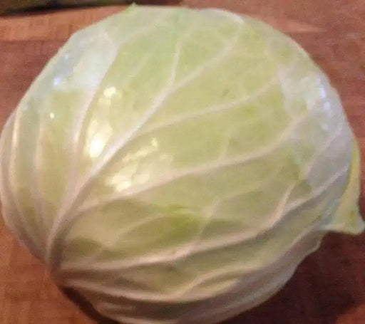 GOLDEN ACRE , Cabbage Seeds ,  (Brassica oleracea) Untreated - Caribbean garden seed