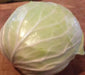 GOLDEN ACRE , Cabbage Seeds ,  (Brassica oleracea) Untreated - Caribbean garden seed