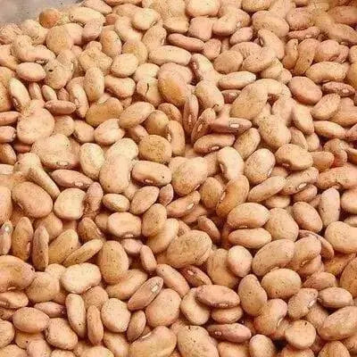 Golden Lima,Dry bean ,Vigorous  heavy cropper Pole habit - Caribbean garden seed