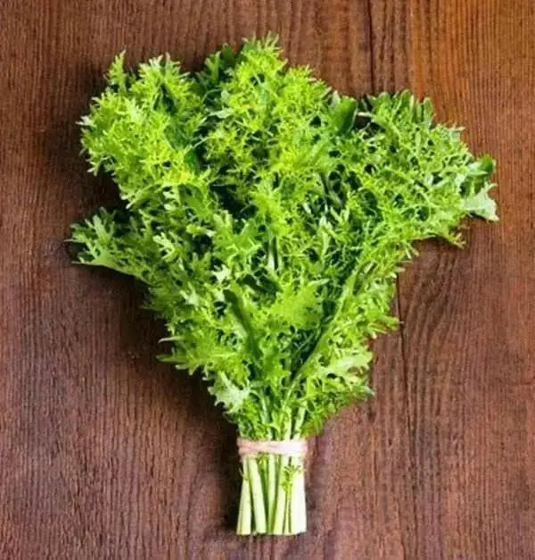 Golden Frills Mustard Green Seed , Asian Vegetables - Caribbean garden seed