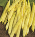 Gold of Bacau, POLE Bean seed, ORGANIC HEIRLOOM - Caribbean garden seed