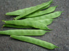 Gold of Bacau, POLE Bean seed, ORGANIC HEIRLOOM - Caribbean garden seed