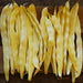 Gold of Bacau, POLE Bean seed, ORGANIC HEIRLOOM - Caribbean garden seed
