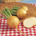 Golden Ball Turnip seeds , Heirloom VEGETABLE - Caribbean garden seed