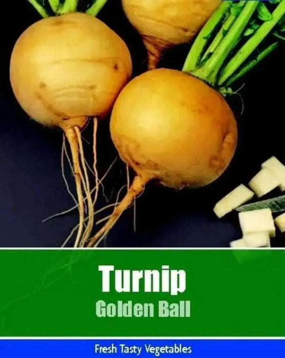 Golden Ball Turnip seeds , Heirloom VEGETABLE - Caribbean garden seed