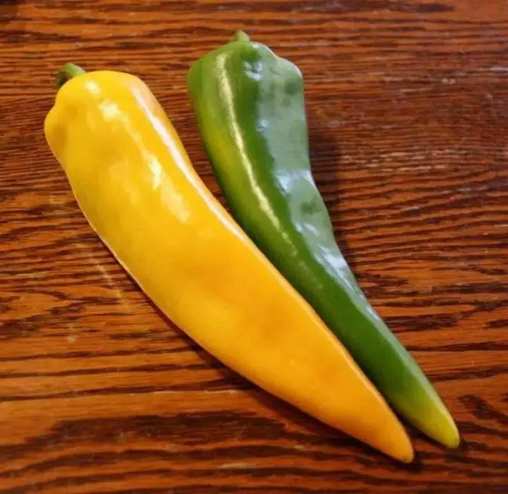 Golden Treasure, PEPPER SEEDS (Capsicum annuum) Italian heirloom , - Caribbean garden seed