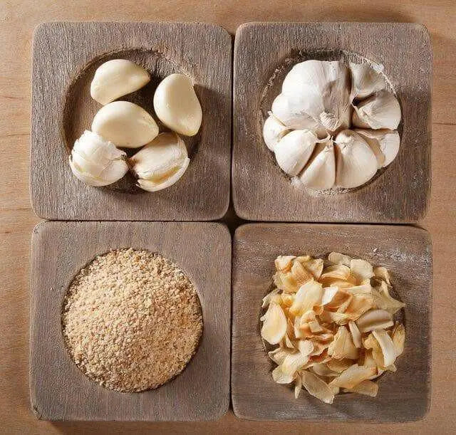 Granulated Garlic,Savory sweet flavor of fresh garlic - Caribbean garden seed