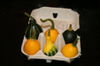Gourd Seeds, Goblin Eggs Mix - Caribbean garden seed