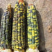 GREEN AND GOLD DENT CORN SEED - Heirloom Grown for centuries. Organic ! - Caribbean garden seed