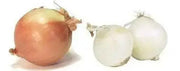 Granulated Onion, excellent in rubs - Caribbean garden seed